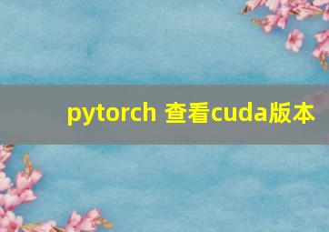 pytorch 查看cuda版本